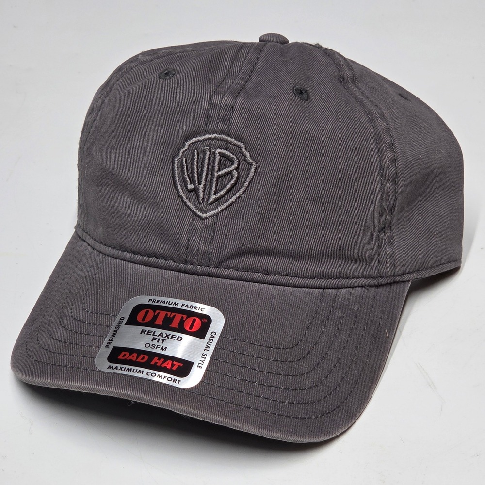 Otto Warner Bros Dad Hat Mens OSFM Gray Like New WB Logo Baseball Cap